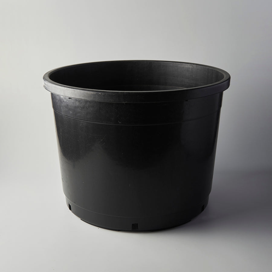 60cm Black Round Pot – The Botanical Assembly